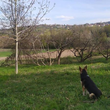 Lauriano B&B Naturin - Cascina Colombaro מראה חיצוני תמונה