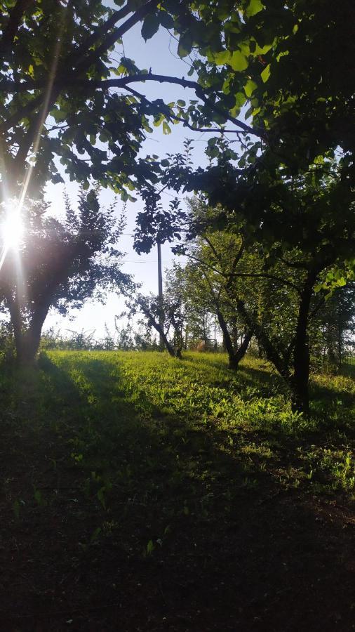 Lauriano B&B Naturin - Cascina Colombaro מראה חיצוני תמונה