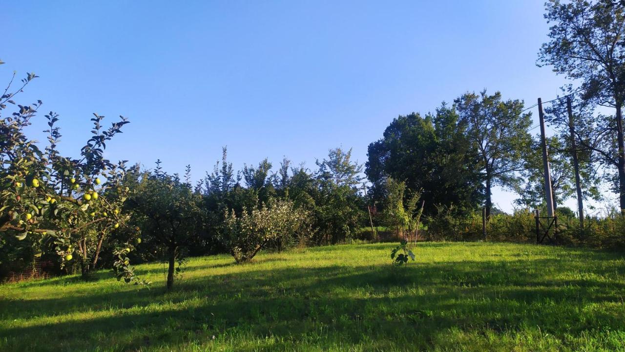 Lauriano B&B Naturin - Cascina Colombaro מראה חיצוני תמונה