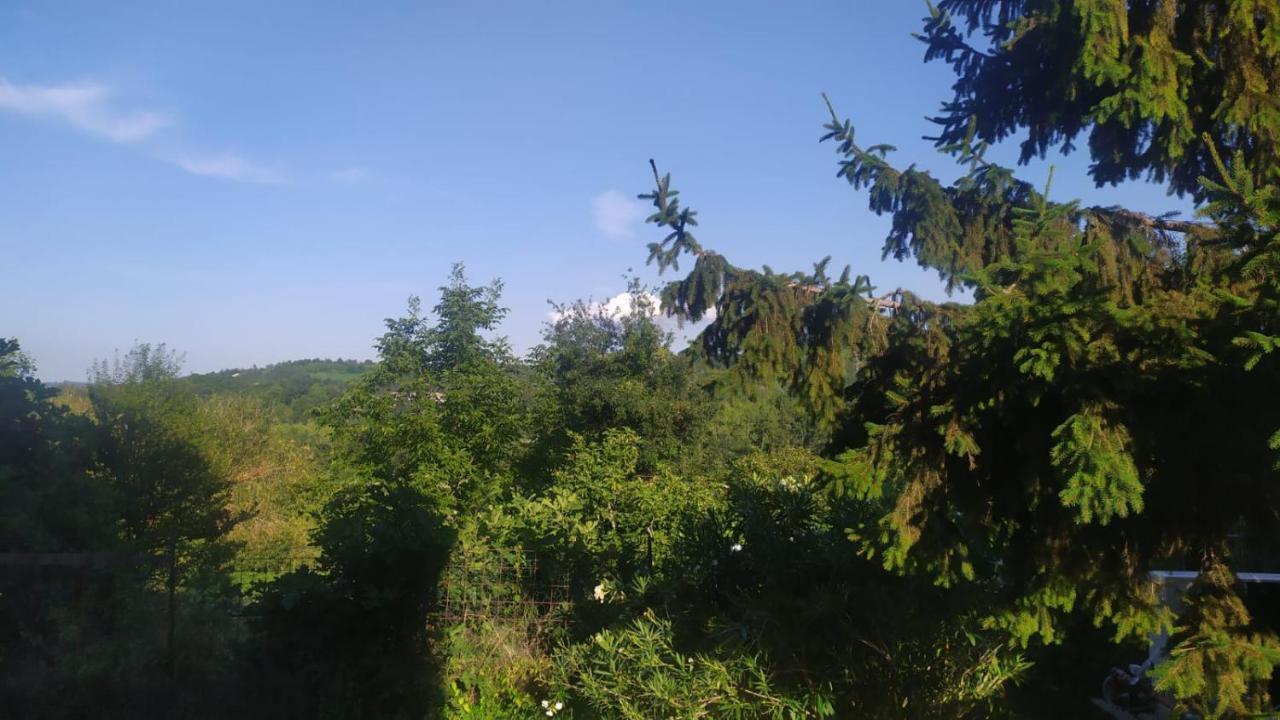 Lauriano B&B Naturin - Cascina Colombaro מראה חיצוני תמונה