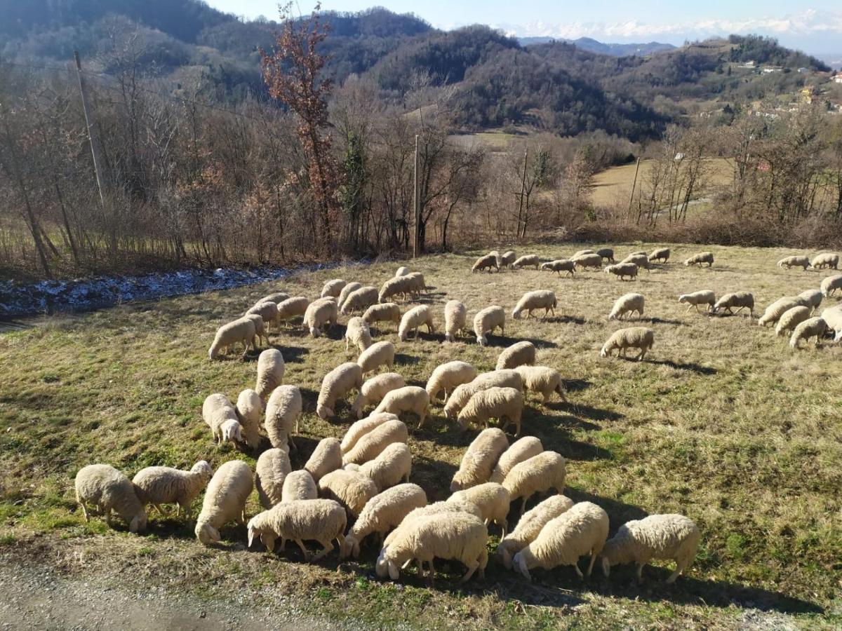 Lauriano B&B Naturin - Cascina Colombaro מראה חיצוני תמונה
