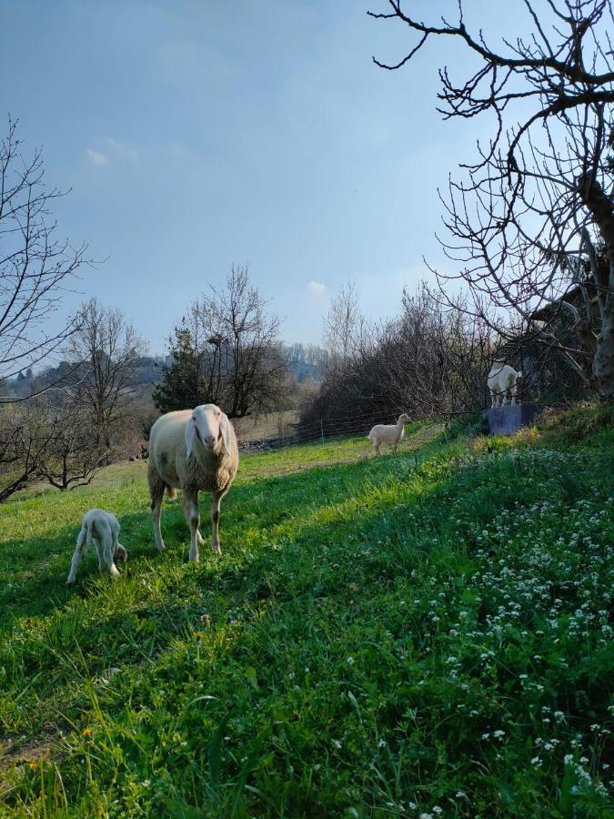 Lauriano B&B Naturin - Cascina Colombaro מראה חיצוני תמונה