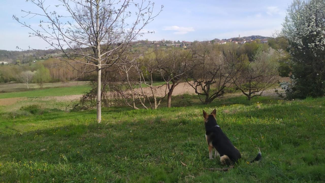 Lauriano B&B Naturin - Cascina Colombaro מראה חיצוני תמונה