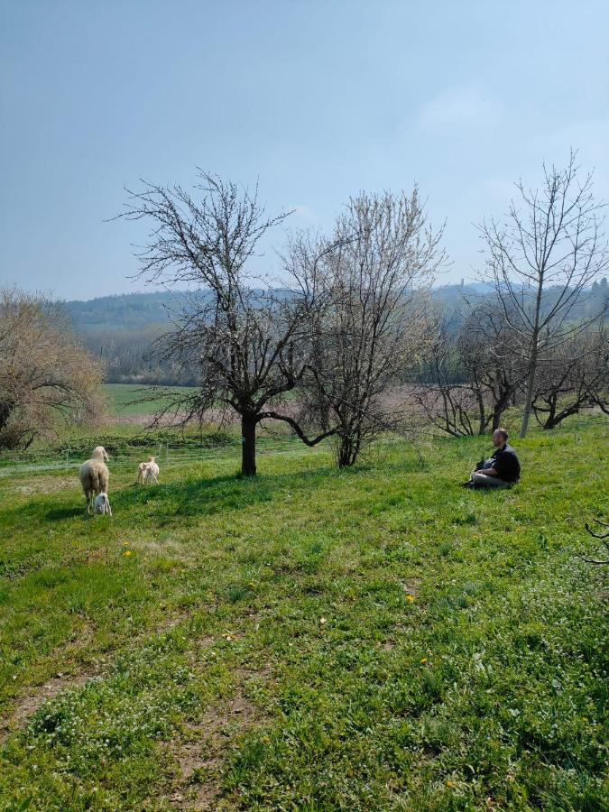 Lauriano B&B Naturin - Cascina Colombaro מראה חיצוני תמונה
